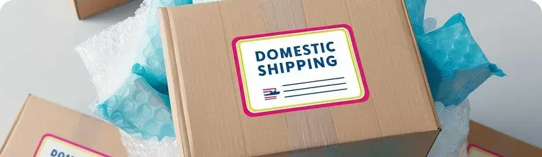 home.Domestic Shipping with ShippingToGo – Fast, Reliable, andHassle-Free